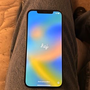 iPhone 12 Pro Max everything works